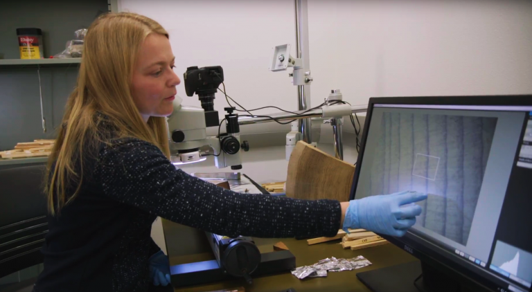 Charlotte Pearson demonstrating dividing wood samples for C-14 analysis. Showing single ring increments on a video microscope display.