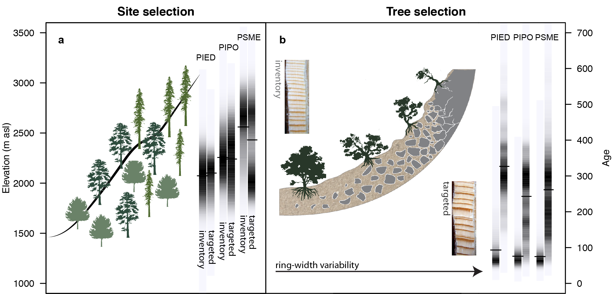 Klesse et al. 2018 Figure 1.