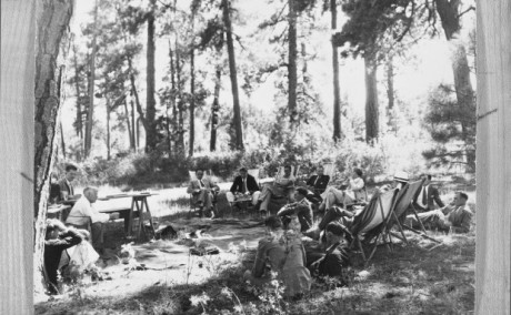 Conference participants sitting under the trees