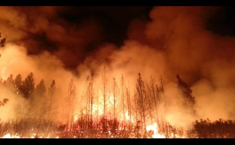 Rim Fire near Yosemite Nationa Park, California
