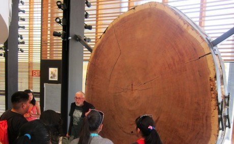 Jemez students visiting the Tree-Ring Lab