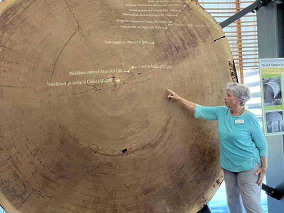 Donna Mac in front of the Giant Sequoia in the lobby of the LTRR.