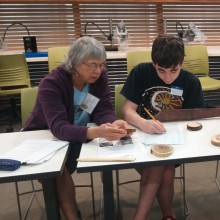 Directory Laboratory Of Tree Ring Research Flo Anderson