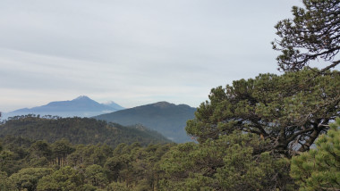 Volcano and pine tree.