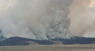 Thompson Ridge Fire landscape